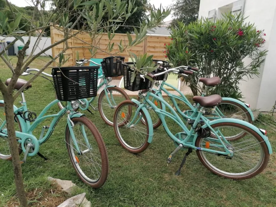 Photo Location vélos - Les Vélos d'Arthur - île d'Yeu