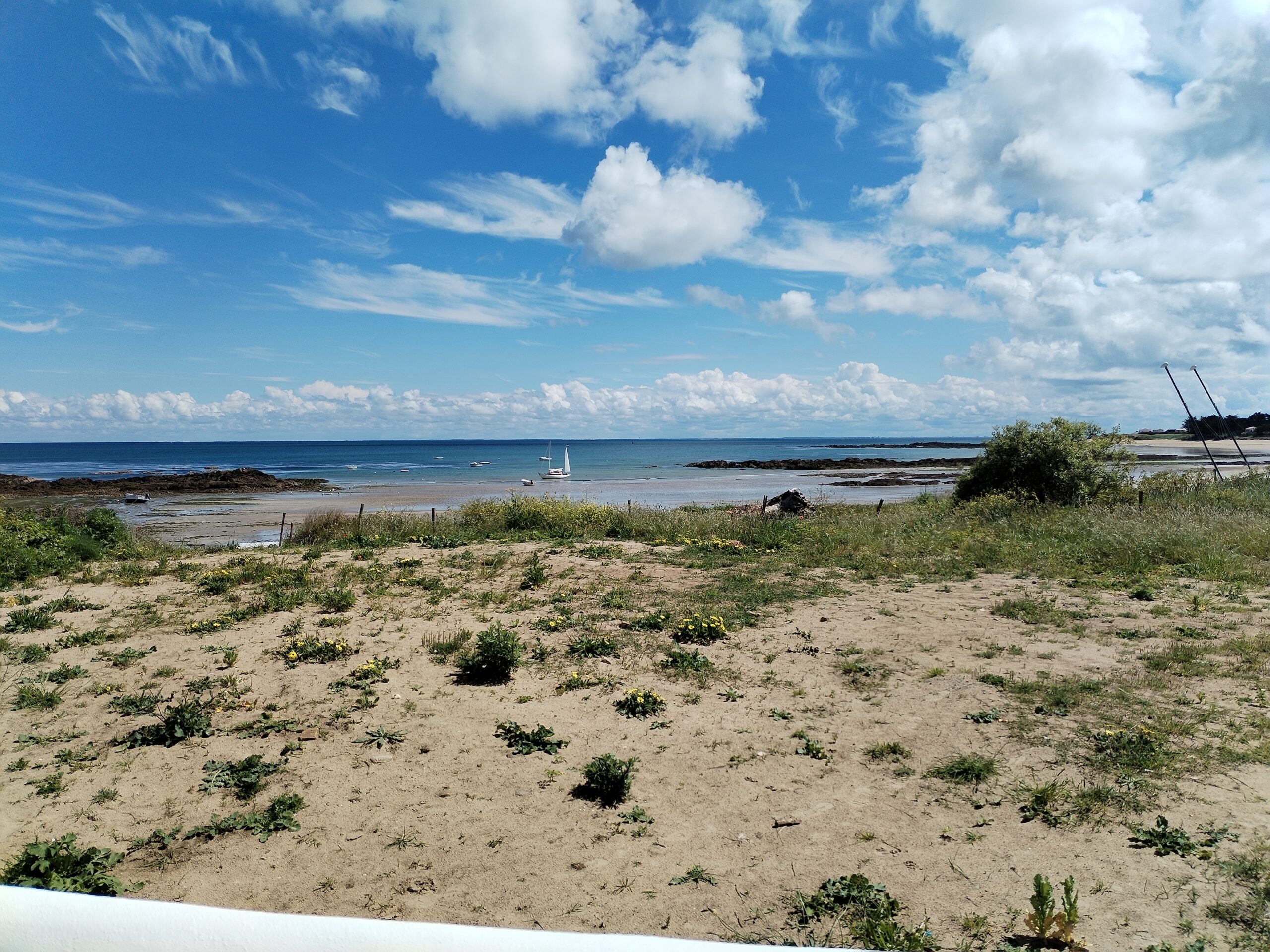 Photo Paysage sur l'île d'Yeu